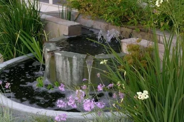 tiểu cảnh thác nước với ao cá 5