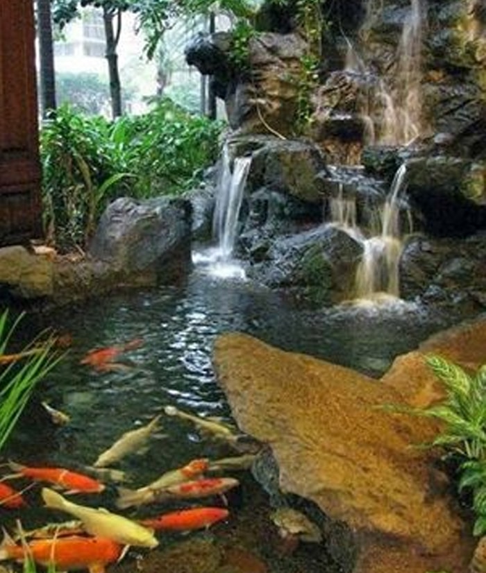 Việc đan xen trồng cây tự nhiên vào hồ sẽ là môi trường tốt