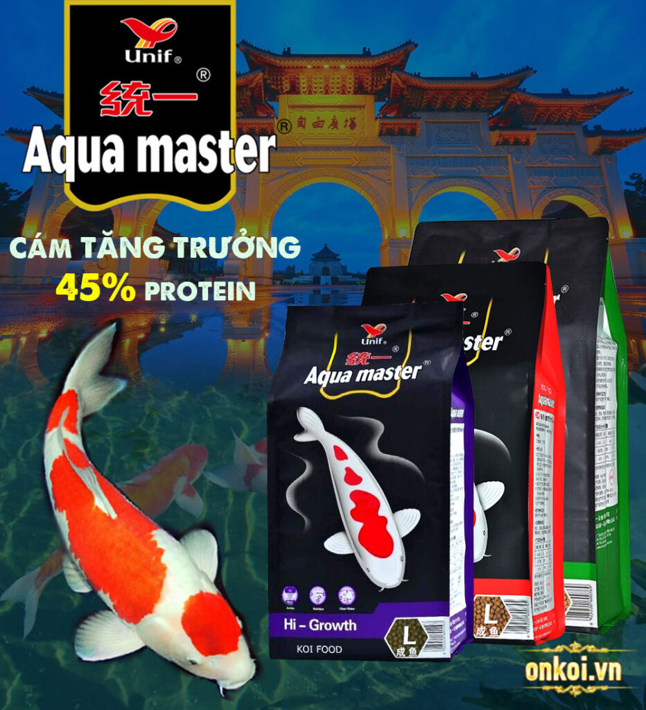 aqua master