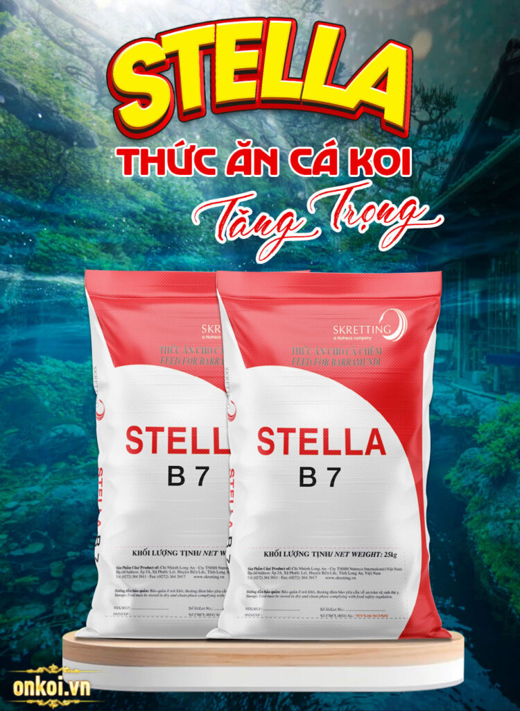 Thức ăn tăng trọng cho cá koi Stella