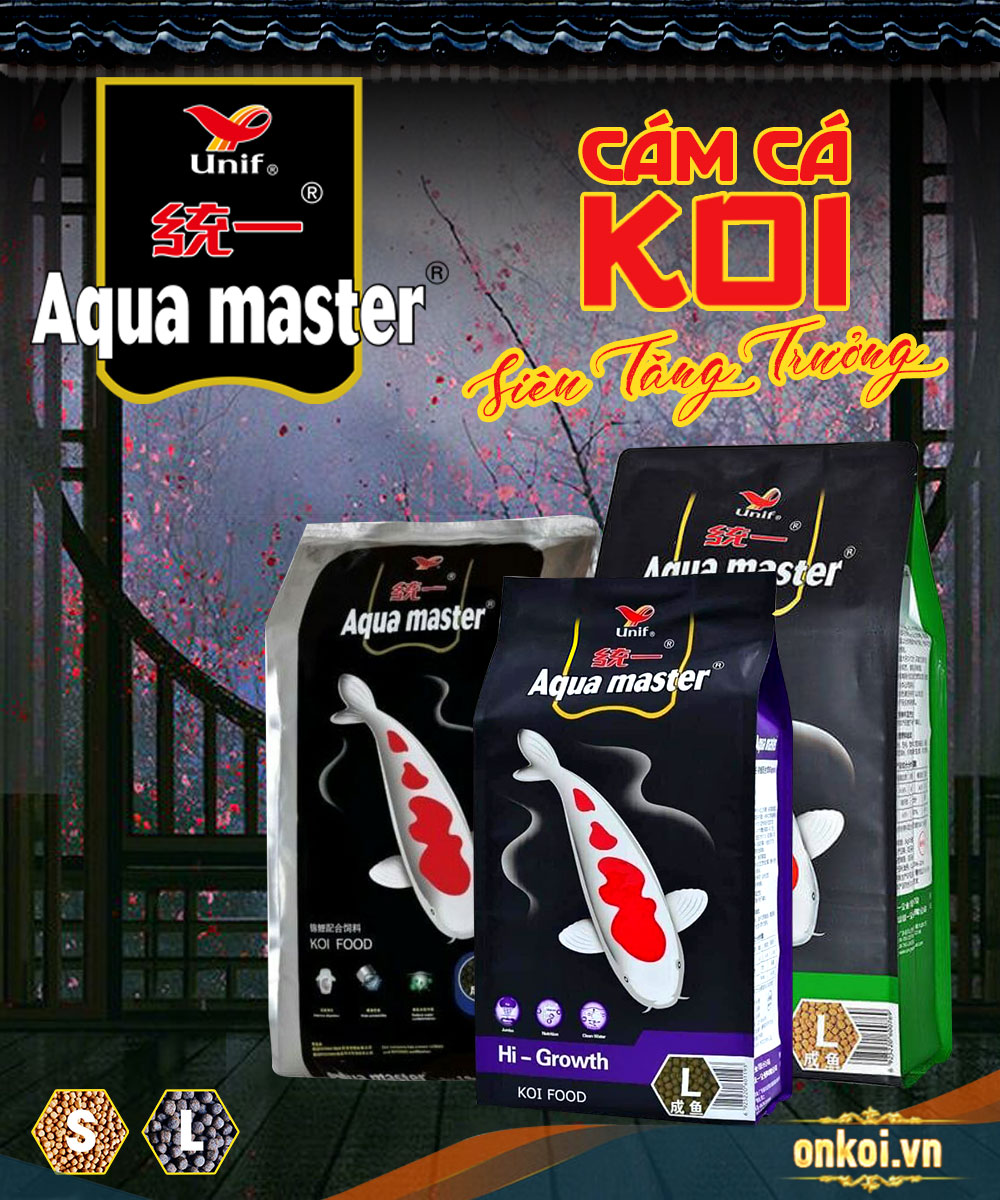 [Đánh giá] cám cá koi Aqua Master - giúp cá koi khỏe mạnh
